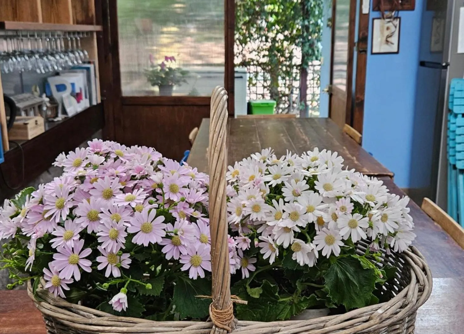 Guest house Villa Villacolle Procchio